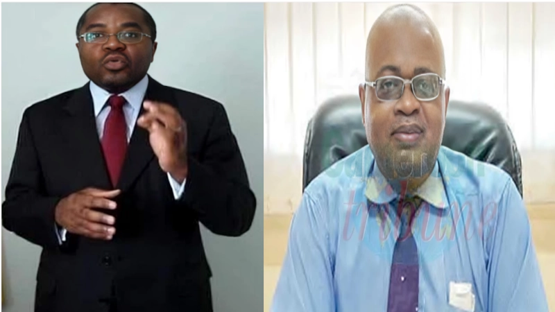 Délégation de pouvoir au Cameroun : Analyse croisée entre Vincent Sosthène Fouda et Éric Mathias Owona Nguini. 1 delegation-de-pouvoir-au-cameroun-analyse-croisee-entre-vincent-sosthene-fouda-et-eric-mathias-owona-nguini
