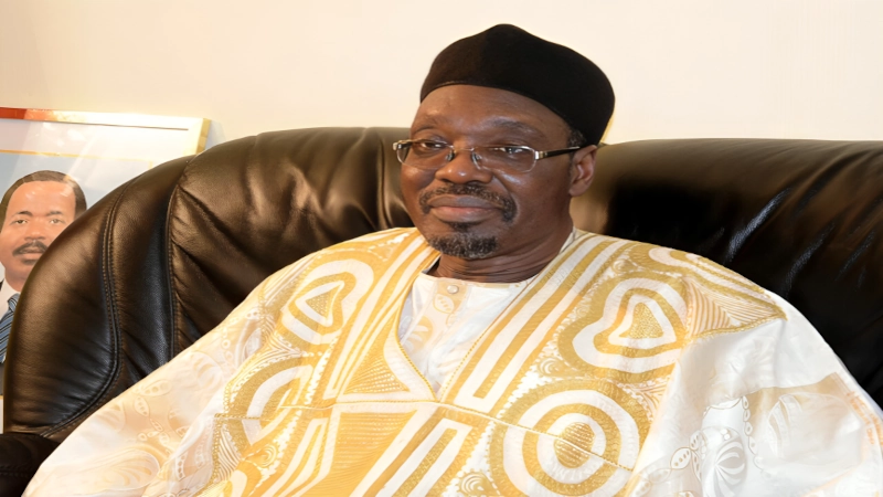 LETTRE DE ISSA TCHIROMA BAKARY AUX CAMEROUNAIS. 1 lettre-de-issa-tchiroma-bakary-aux-camerounais
