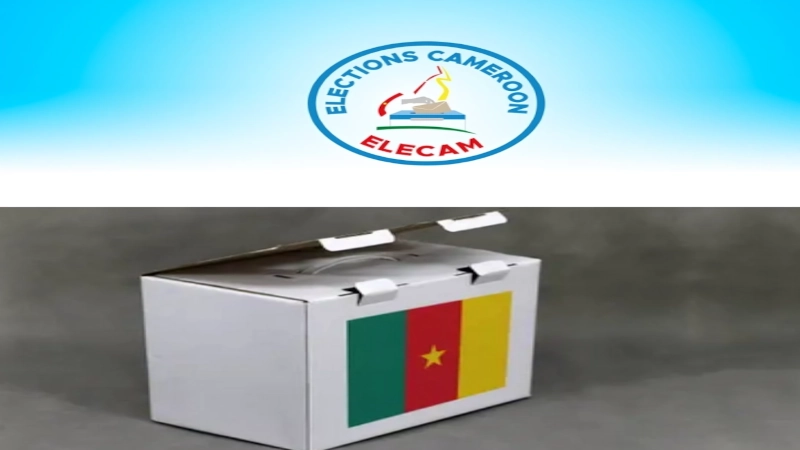 présidentielle 2025 — bamiléké-du-mrc ! allumez les torches ! brûlez ! ne laissez nulle place ou le feu ne passe et repasse.