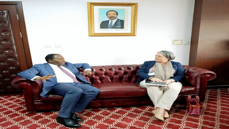 cooperation-cameroun-canada-de-nouvelles-opportunites-dinvestissement-dans-lenergie